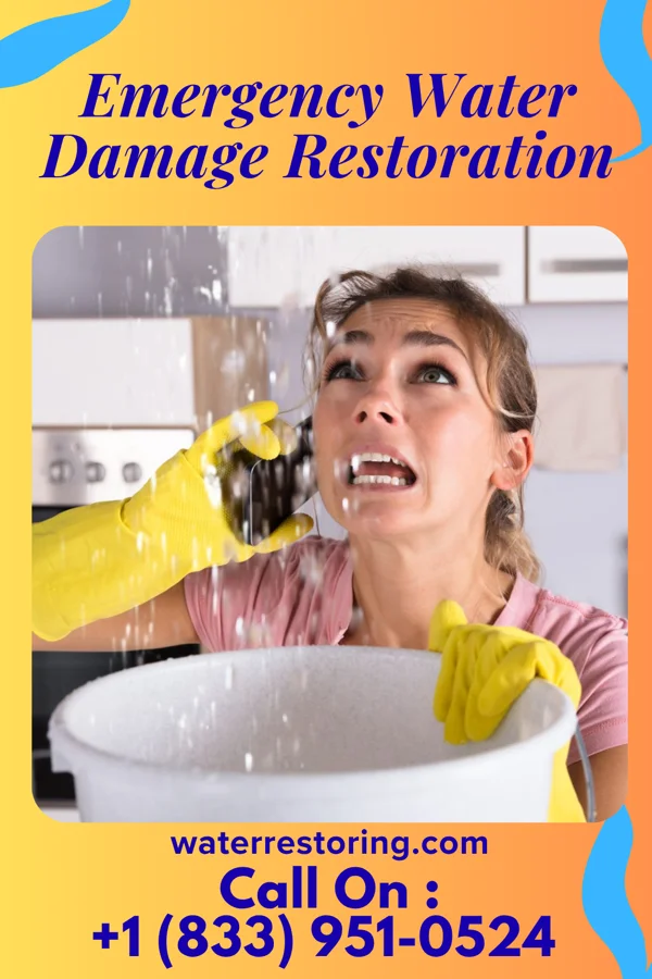 Emergency Water Damage Restoration in Doran, MN