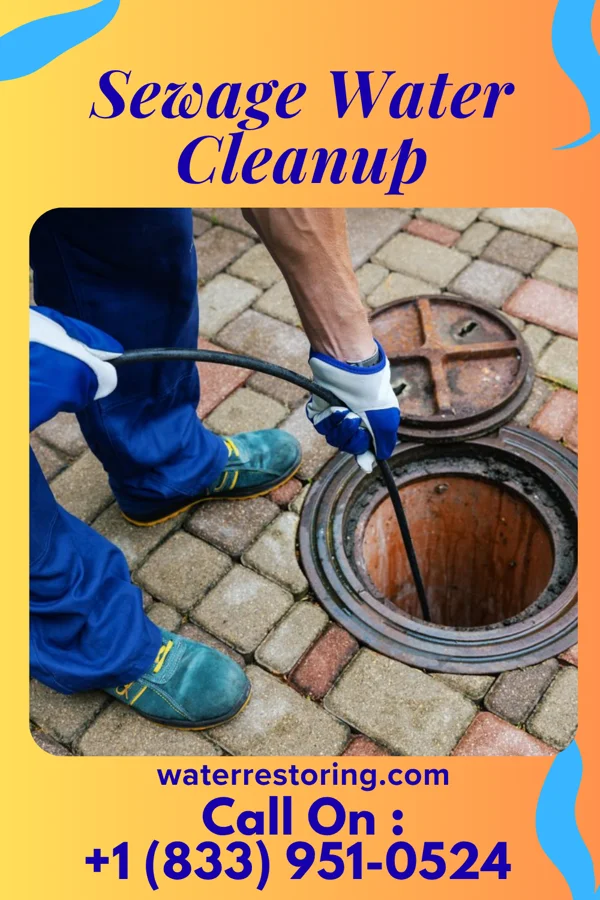 Sewage Water Cleanup in Doran, MN